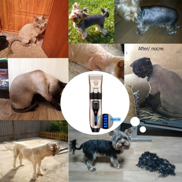 Clipper For Dog Clippers Dogs Grooming Clipper Kit USB Professional Rechargeable Low-Noise Pets Hair Trimmer Display Battery - Image 3